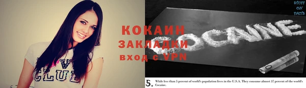 ГАЛЛЮЦИНОГЕННЫЕ ГРИБЫ Осинники